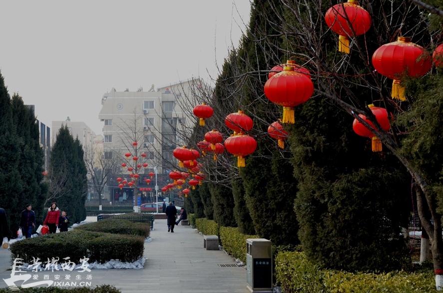 JPG_1152.JPG