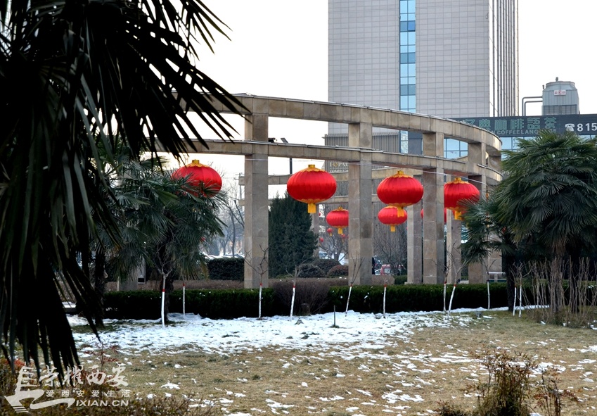 JPG_1156.JPG