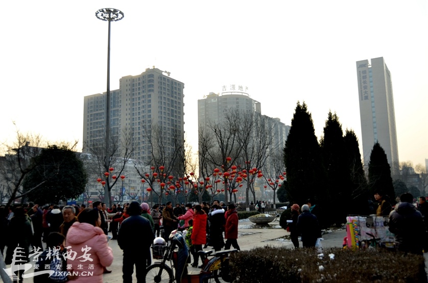 JPG_1180.JPG