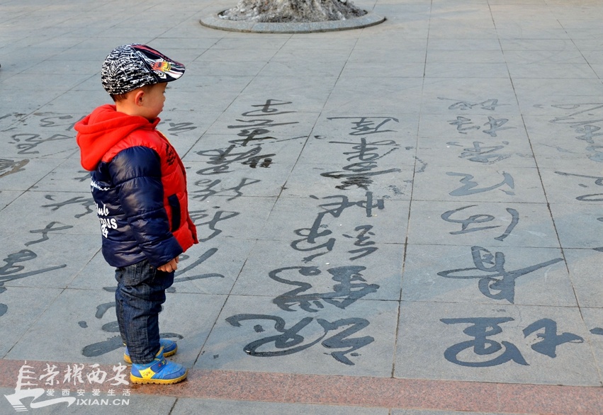 JPG_1200.JPG