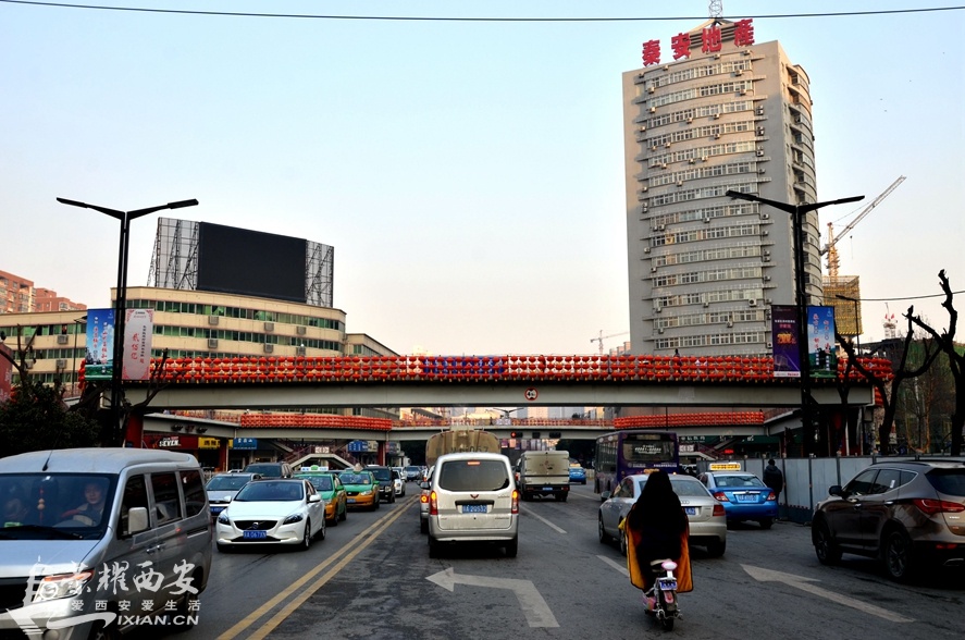 JPG_1203.JPG