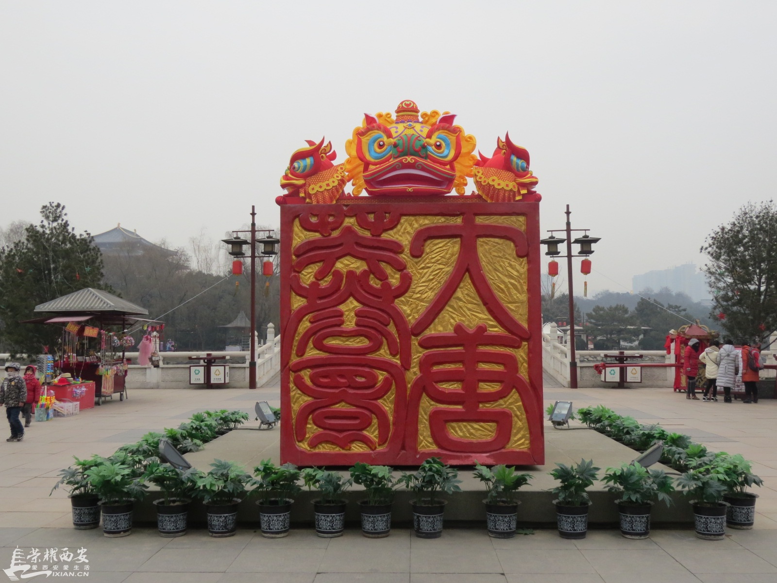 IMG_7483.JPG
