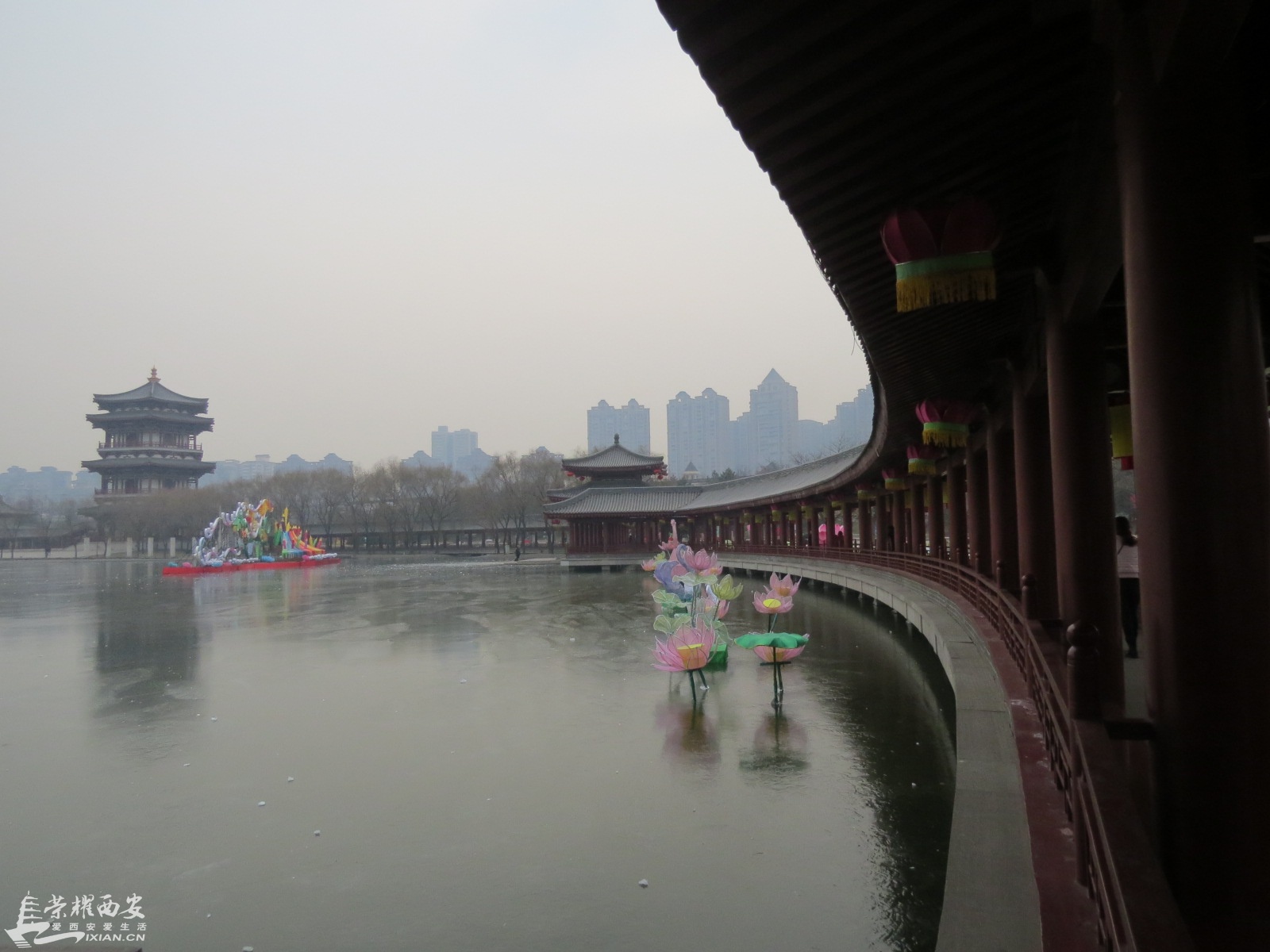 IMG_7508.JPG