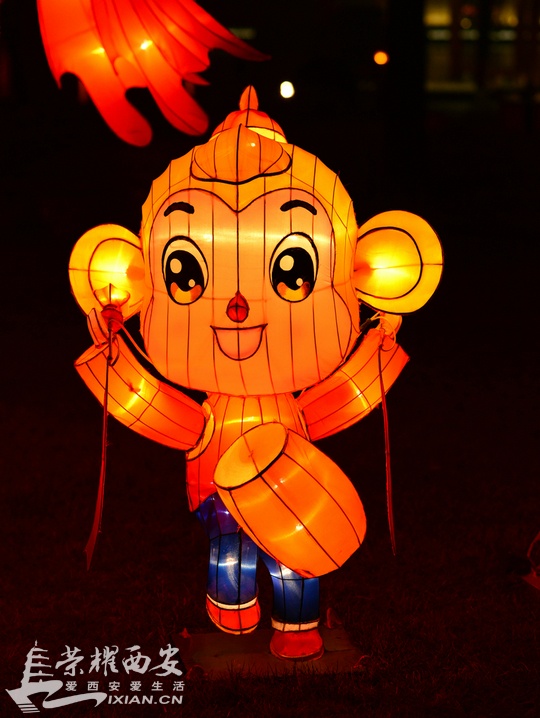 DSC_1794_1_1.JPG