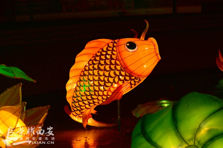 DSC_1831_1_1.JPG