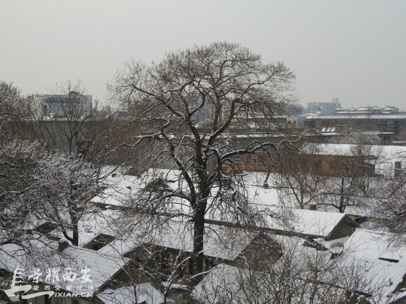 IMG_7763.JPG