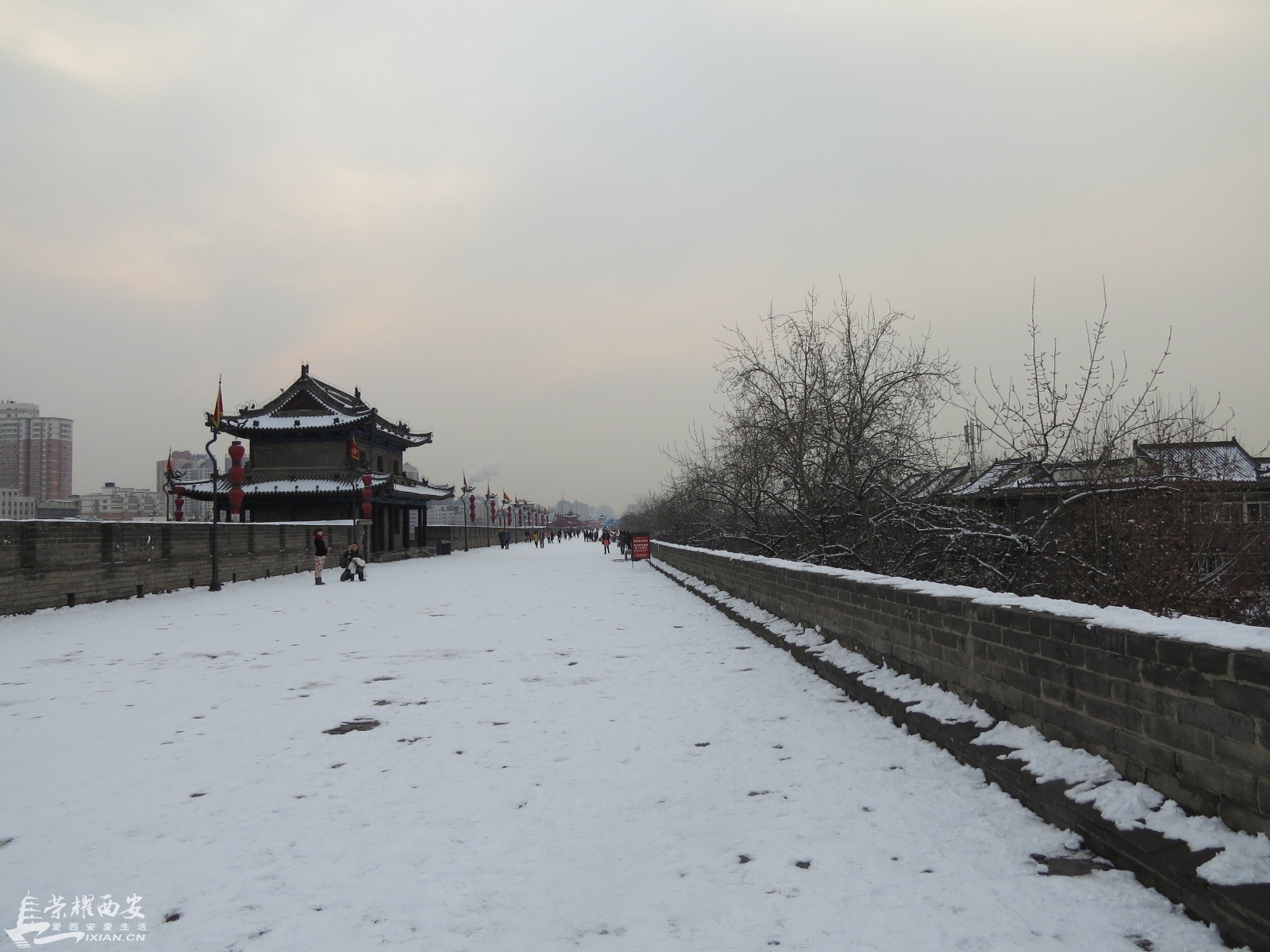 IMG_7768.JPG