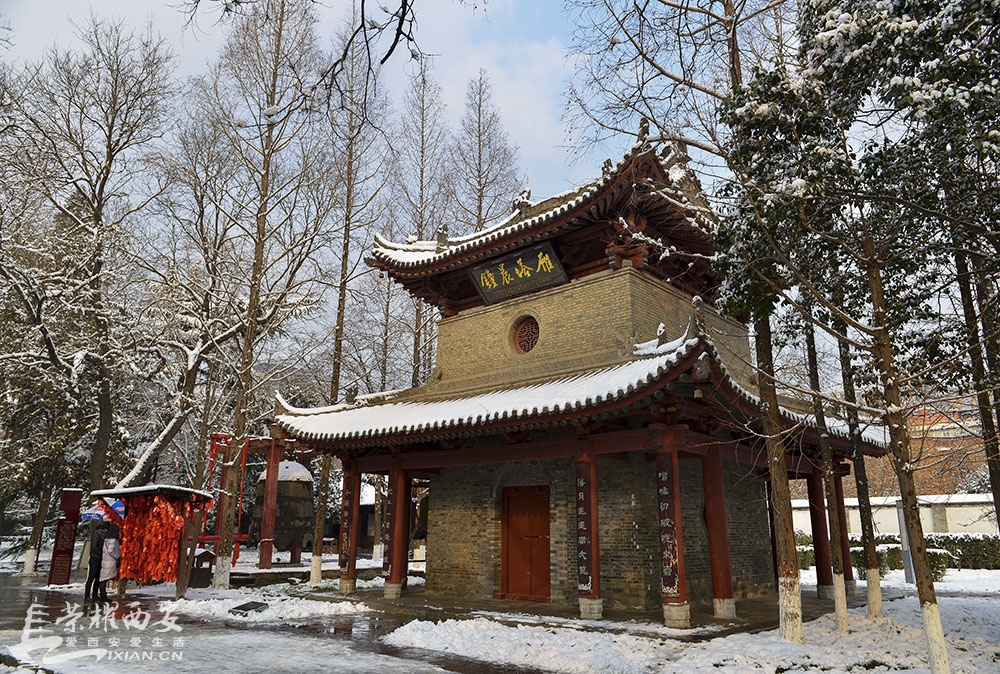 2016骞