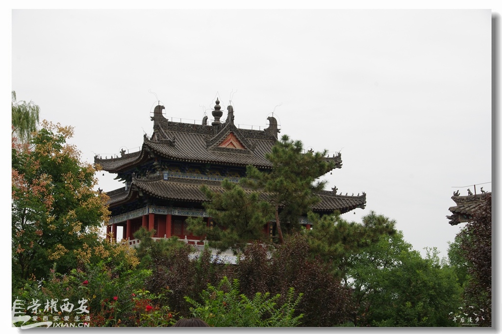 IMGP1099.jpg