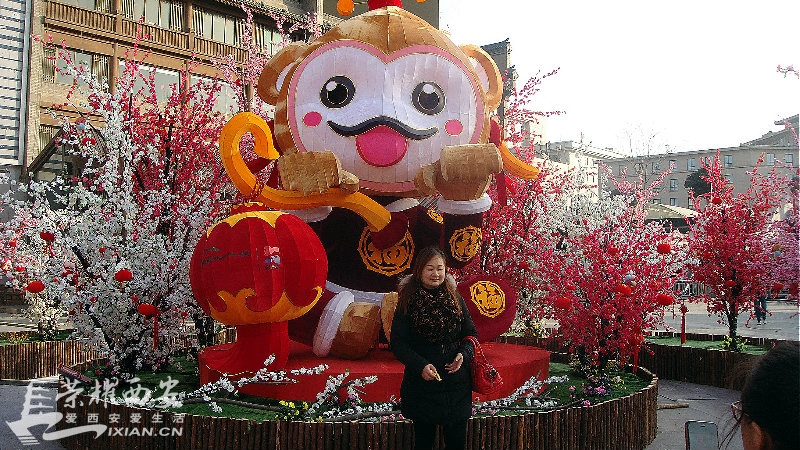 DSC04231_meitu_175.jpg
