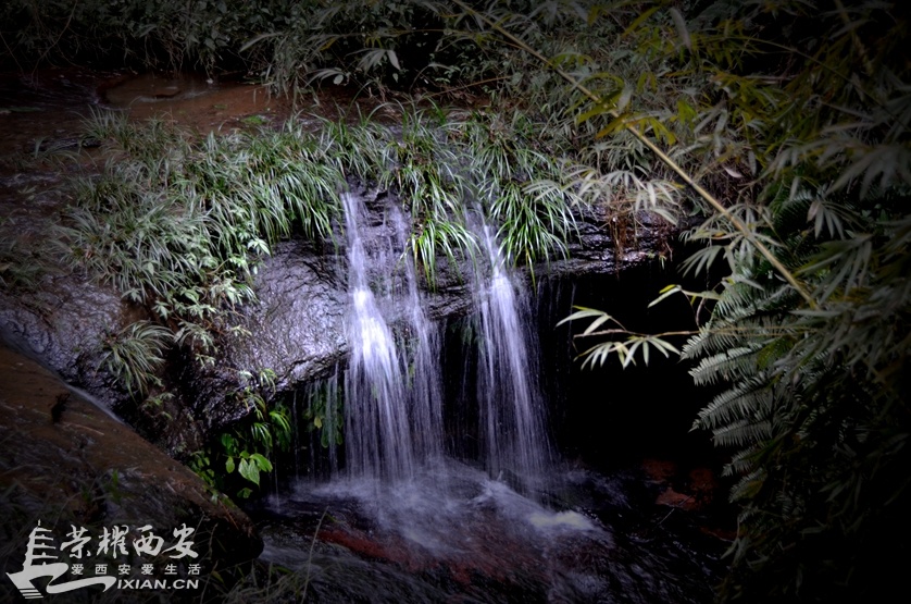 JPG_2272.JPG