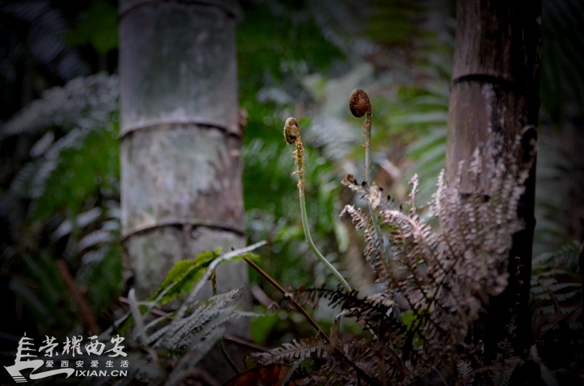 JPG_2266.JPG