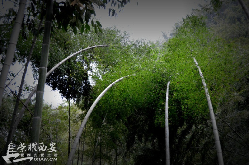 JPG_2265.JPG