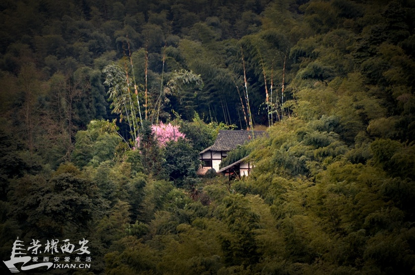 JPG_2188.JPG