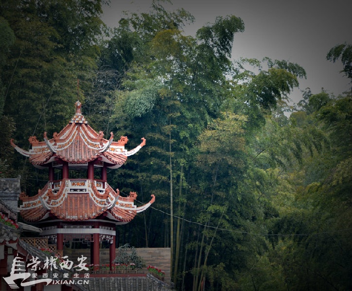 JPG_2140.JPG