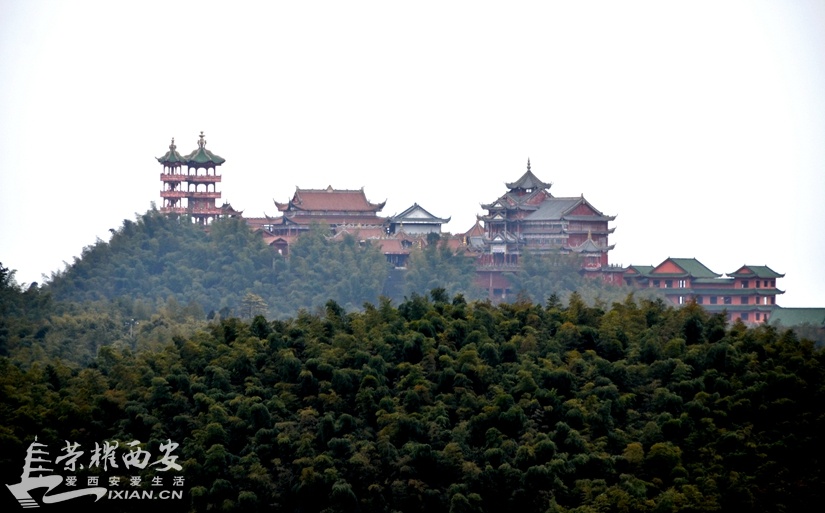 JPG_2068.JPG