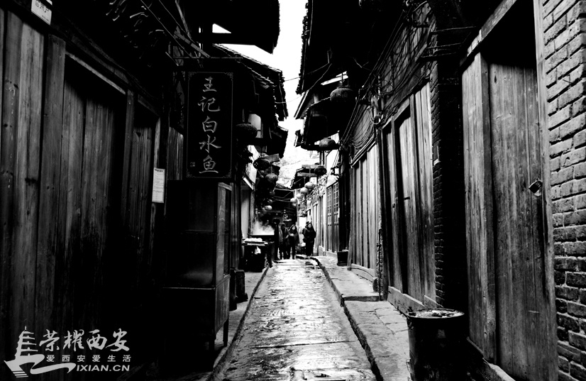JPG_2369.JPG