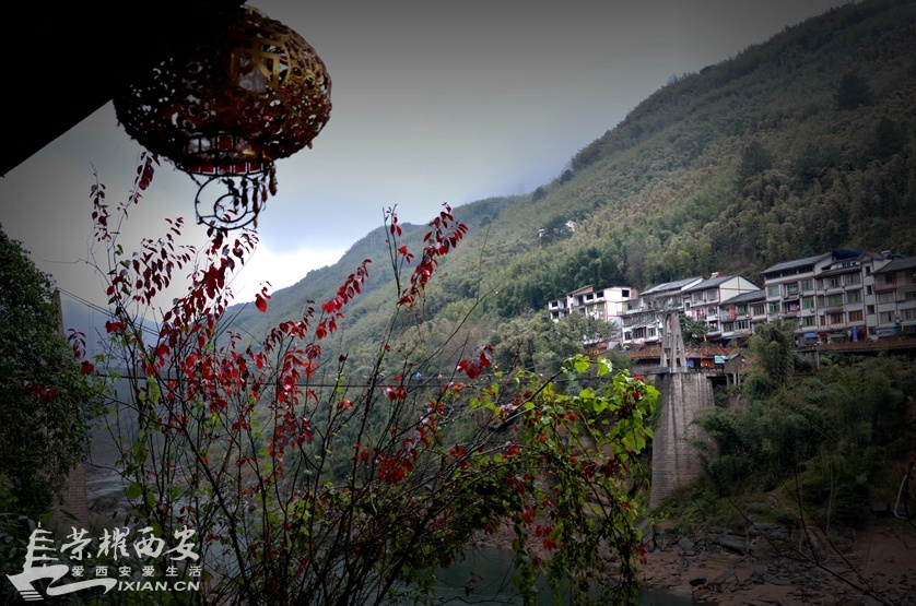 JPG_2355.JPG