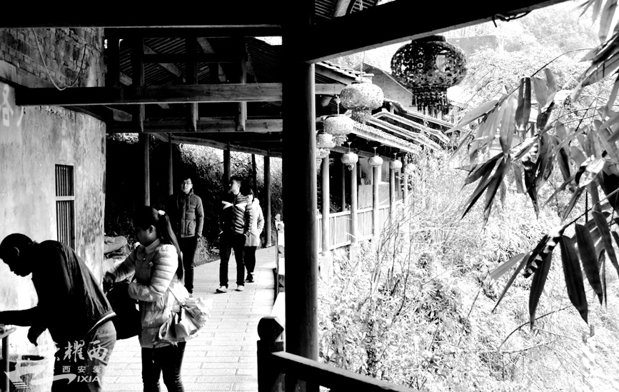 JPG_2353.JPG
