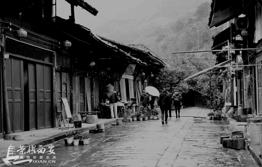 JPG_2339.JPG