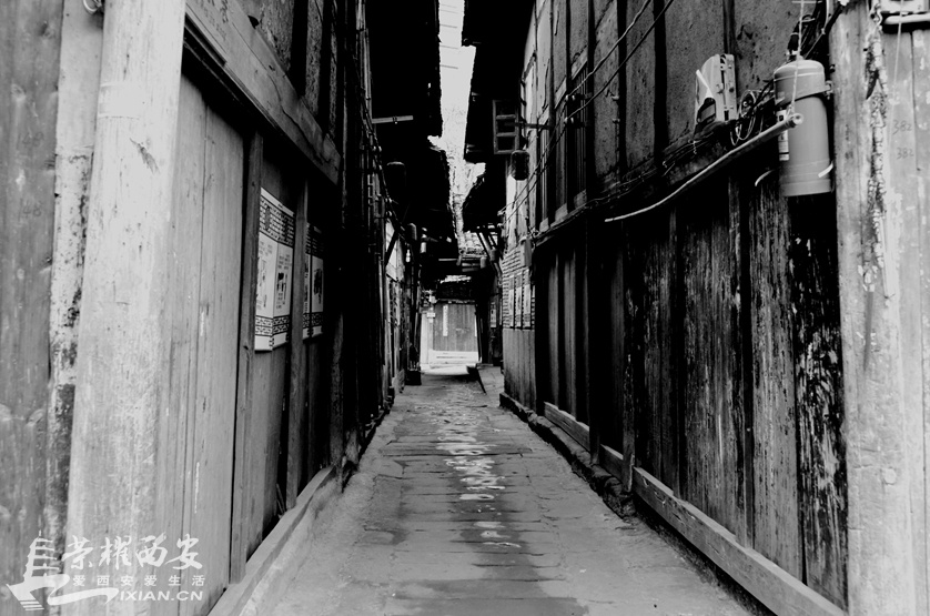 JPG_2610.JPG