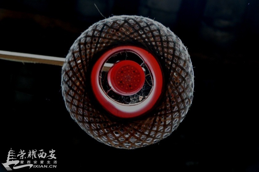JPG_2622.JPG