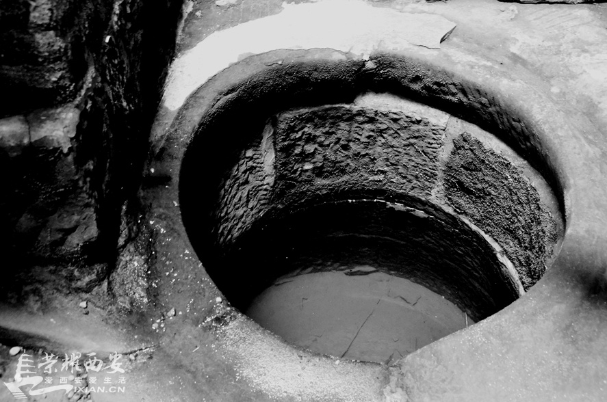 JPG_2624.JPG
