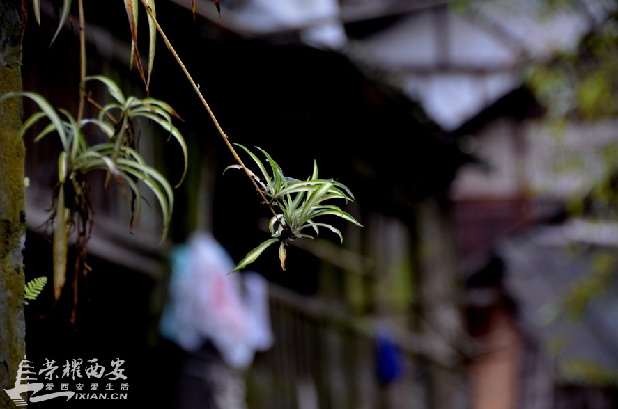 JPG_2694.JPG