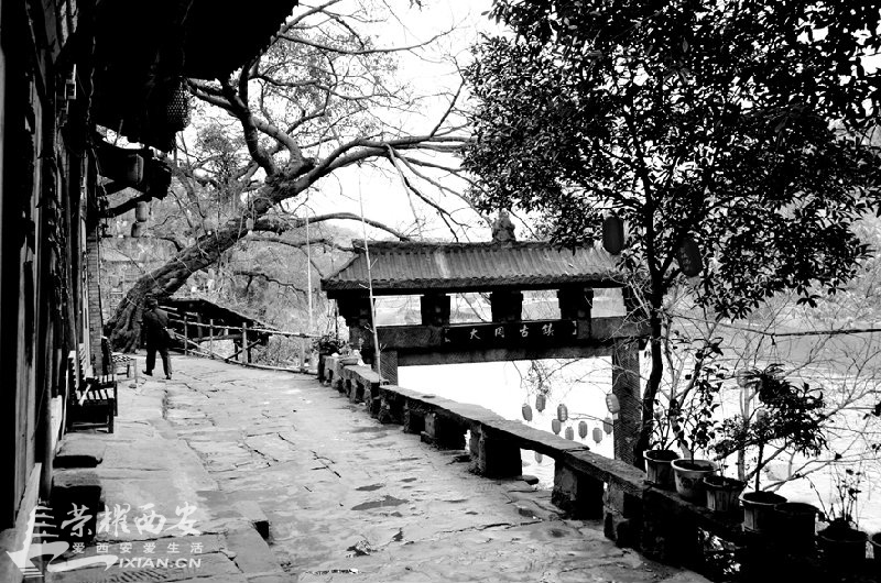 JPG_2744.JPG