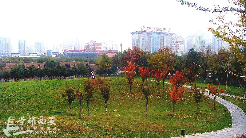 DSC02040_meitu_42.jpg