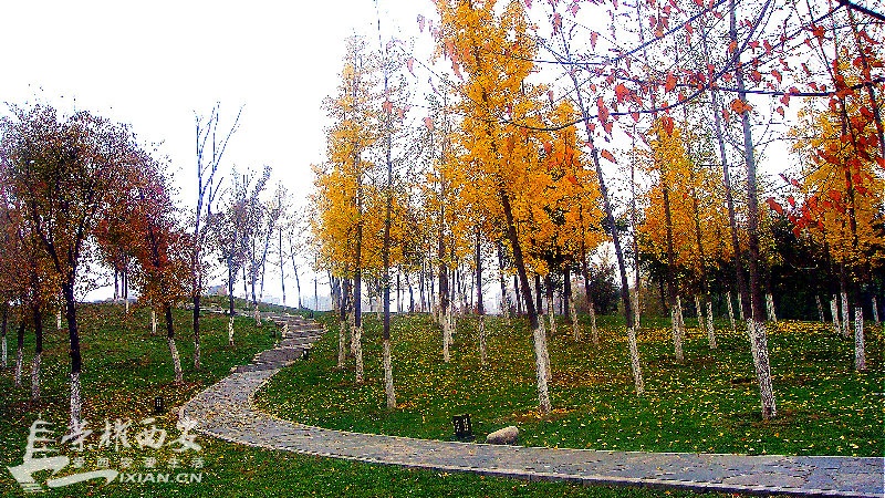 DSC02045_meitu_47.jpg
