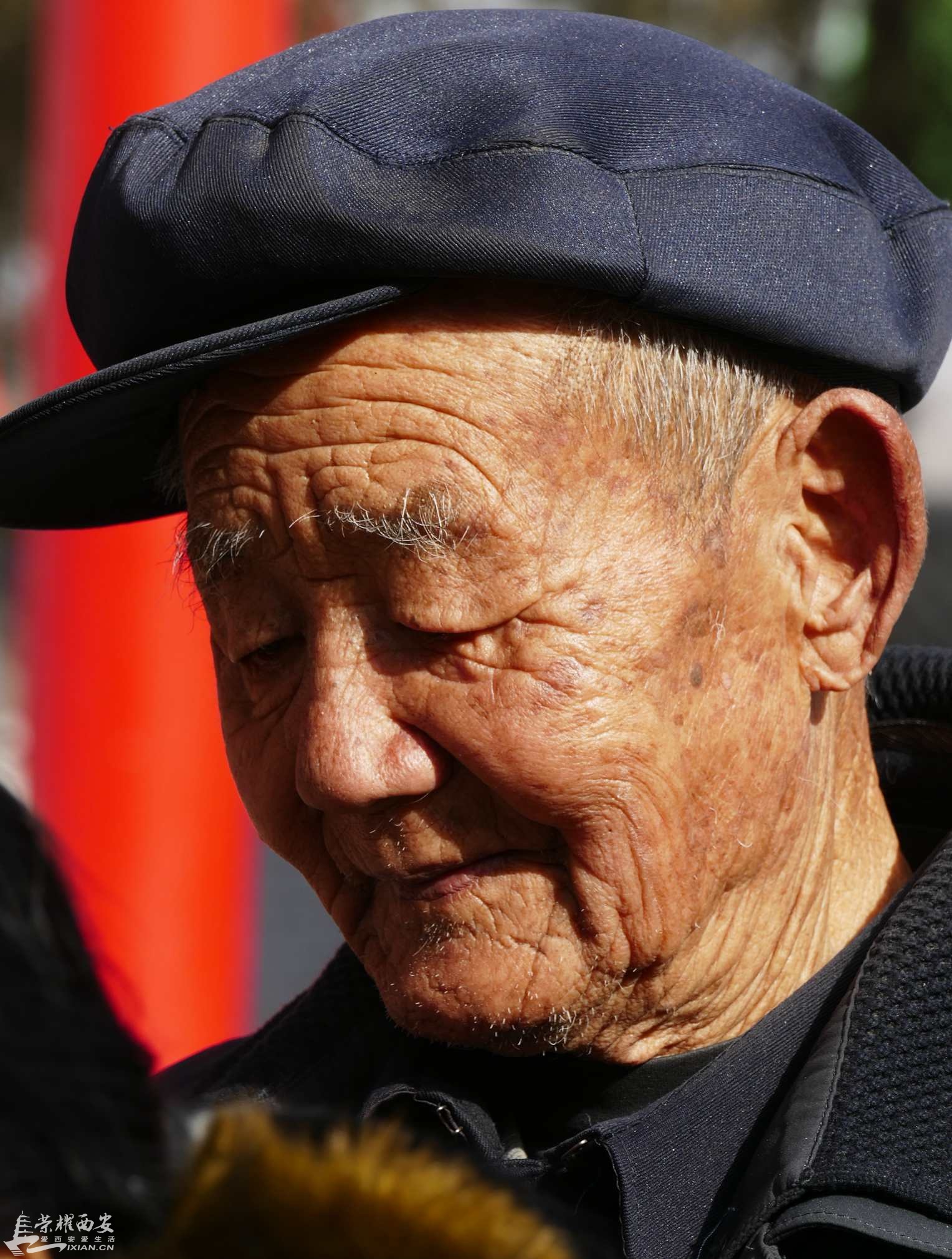 L1210305_鍓?湰.jpg