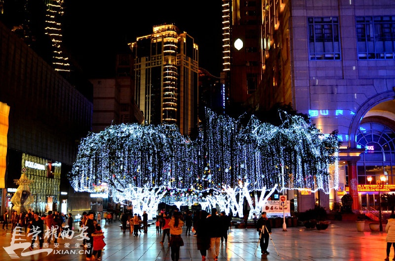 JPG_3378.JPG