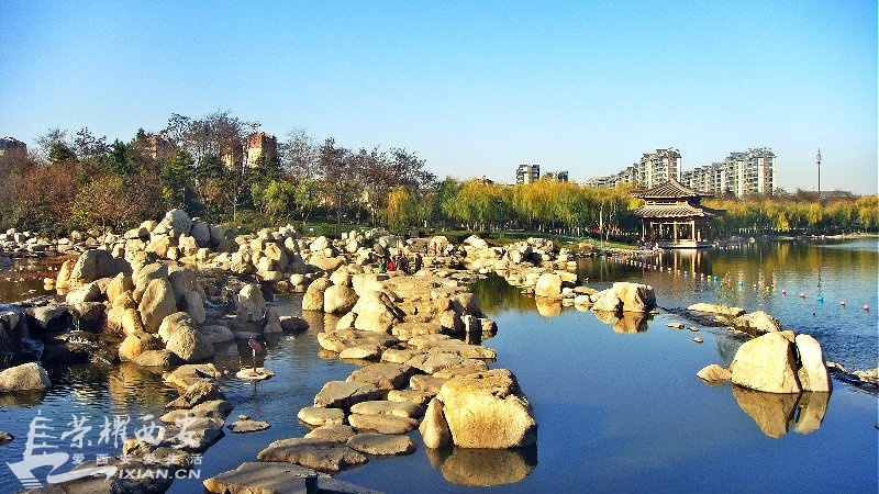 DSC02872_meitu_5.jpg