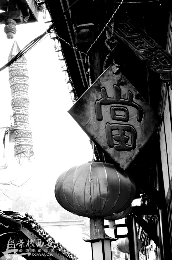 JPG_2991.JPG