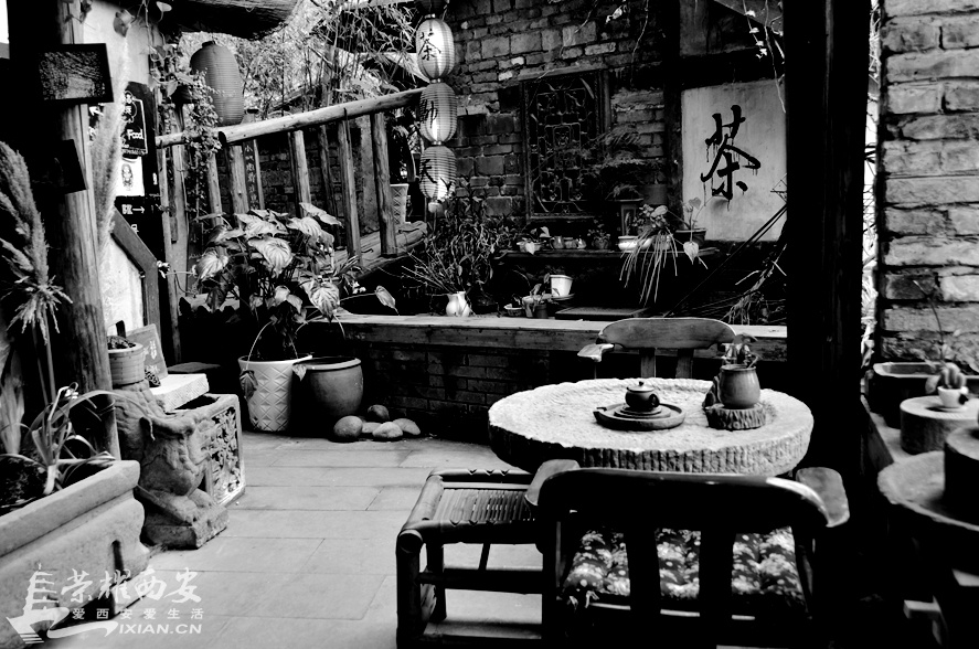 JPG_3036.JPG