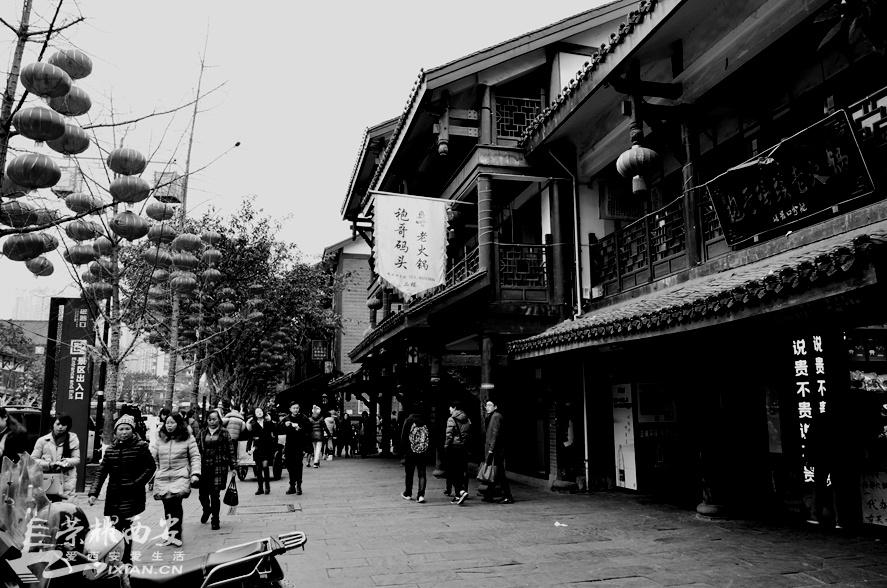JPG_3073.JPG