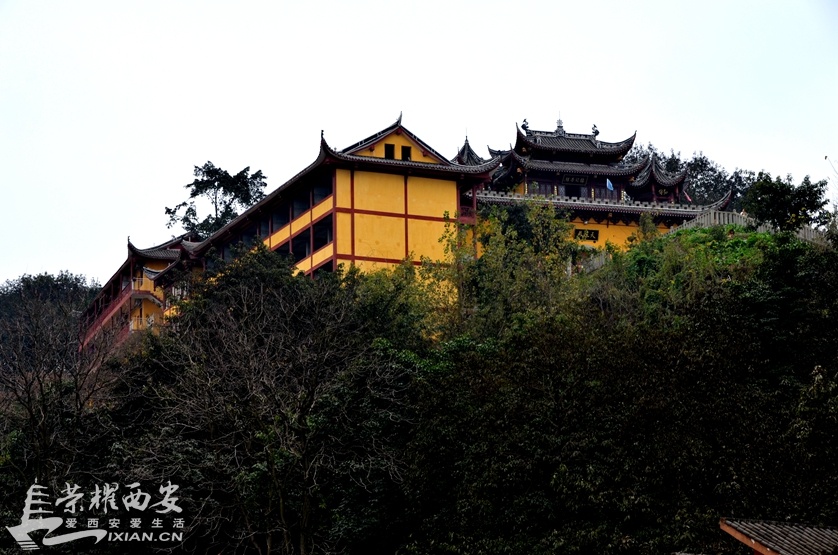 JPG_3075.JPG