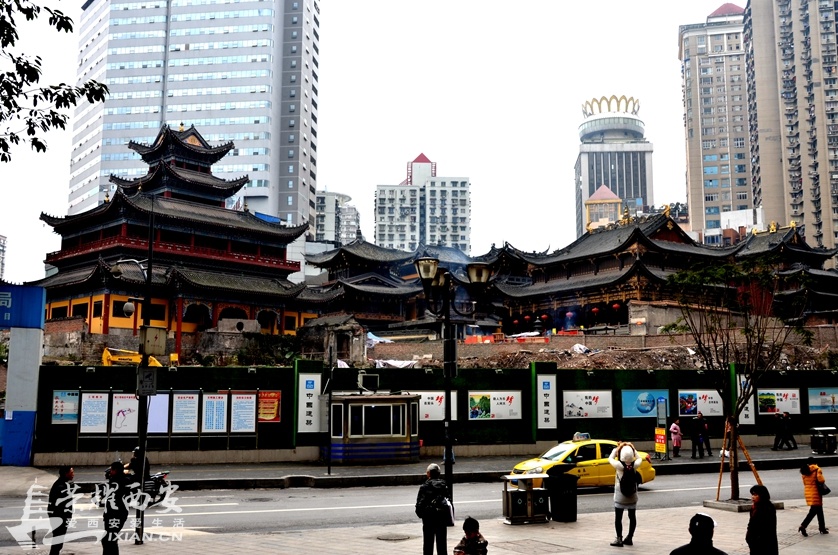 JPG_2837.JPG
