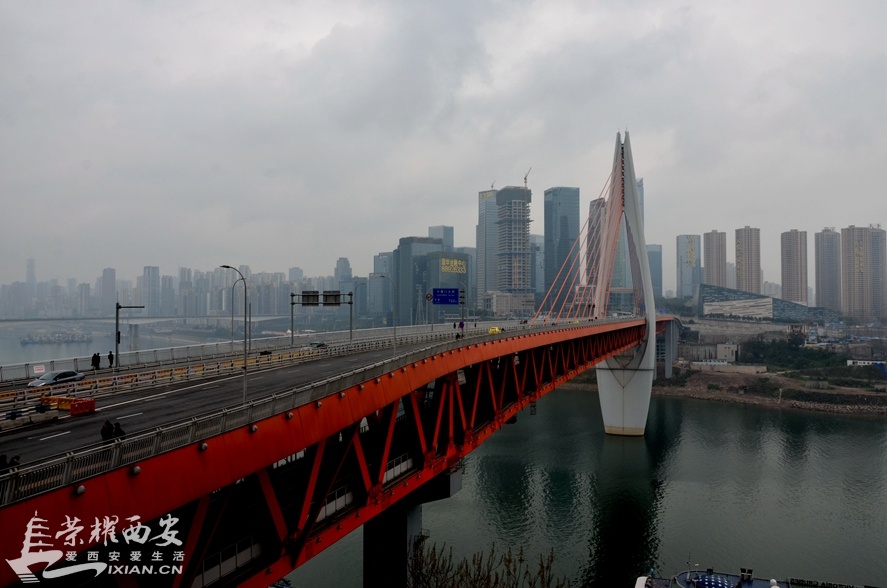 JPG_2839.JPG