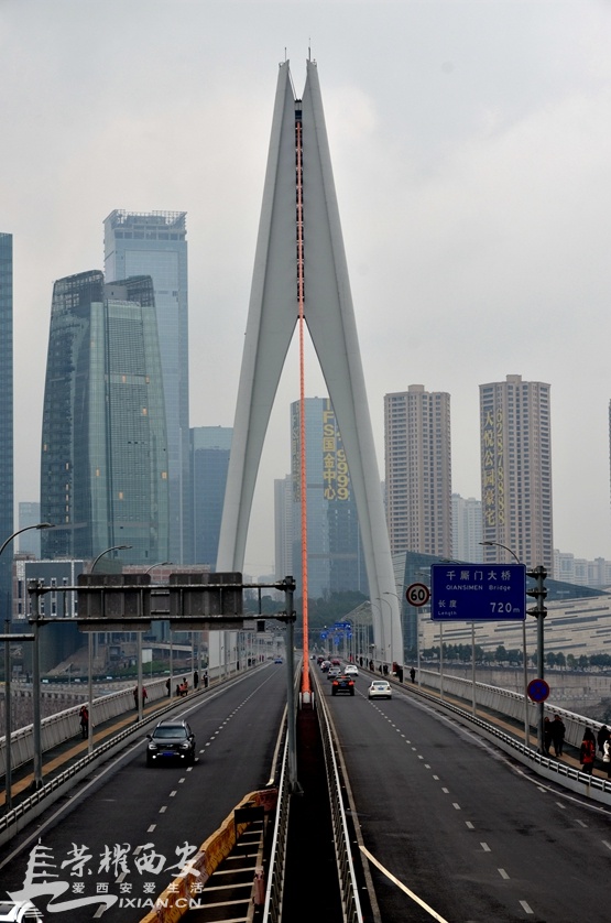 JPG_2841.JPG