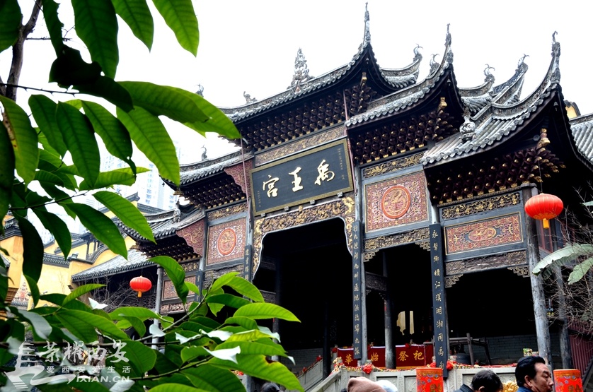 JPG_2857.JPG