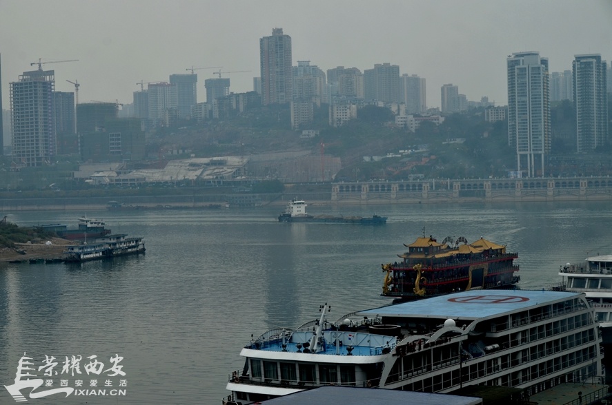 JPG_2875.JPG