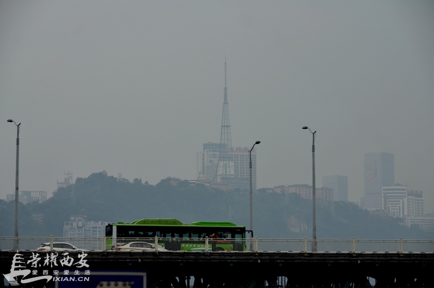 JPG_2886.JPG