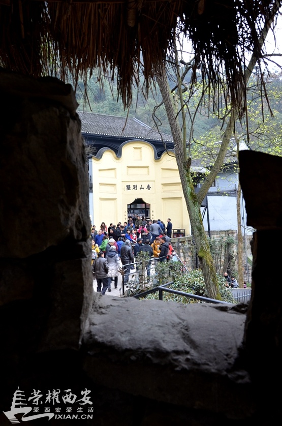 JPG_2935.JPG