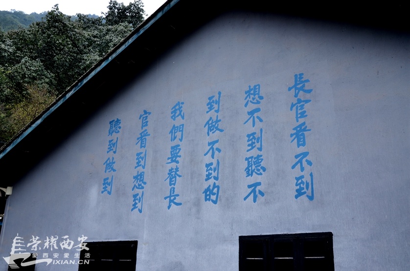 JPG_2960.JPG