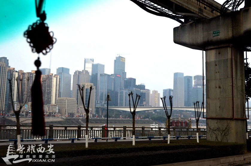 JPG_3157.JPG