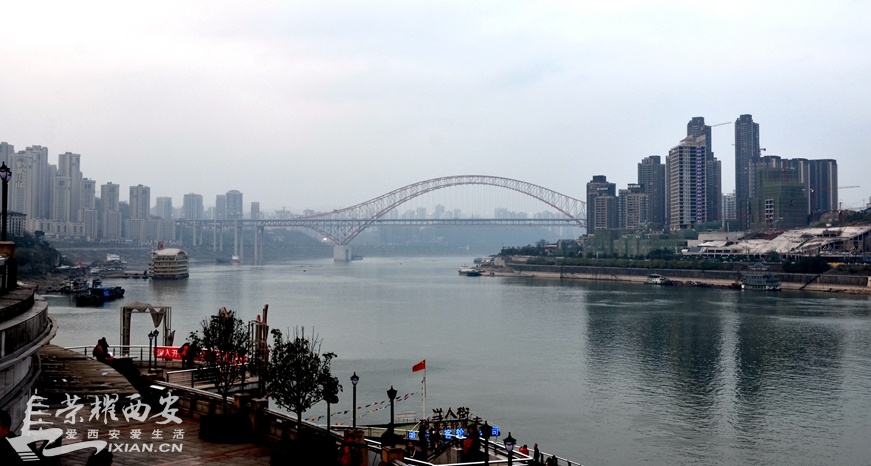 JPG_3174.JPG