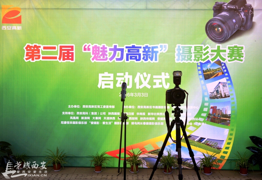 楂樻柊 (1).JPG
