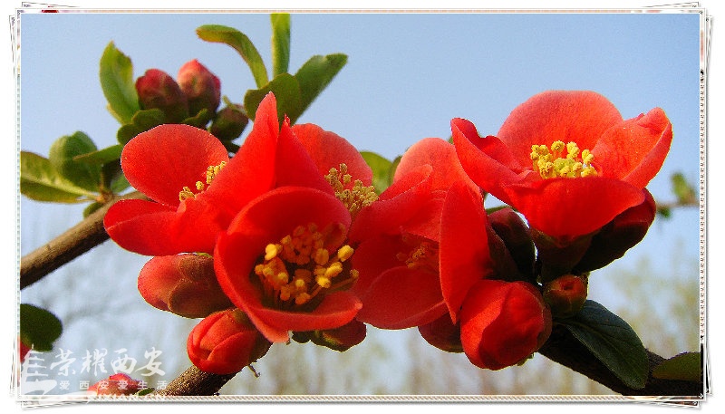 DSC07636_meitu_24.jpg